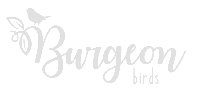 https://burgeonmusic.nl/wp-content/uploads/2020/05/wit-burgeon-birds-logo.001-640x360.png