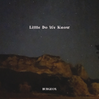 https://burgeonmusic.nl/wp-content/uploads/2024/09/little-do-we-know-320x320.png